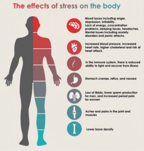 effects-of-stress-on-body