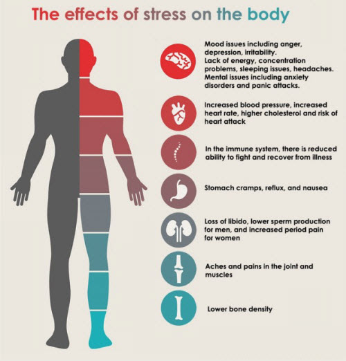 The Effect of Stress on Your Body - Executive Medicine : Executive Medicine